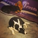 Kelly Macpherson - @kellymac10001986 - Instagram