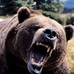 Kelly McMath - @kelly_mcmath - Instagram