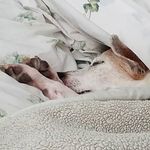 Kelly McMath - @mcmath.kelly - Instagram