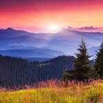 Kelly Merrell - @living.enthusiastically - Instagram
