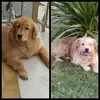 kellyemiele - @kellyemiele - TikTok