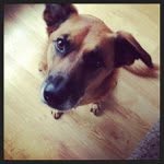 Kelly Mingus - @rollv2chi - Instagram