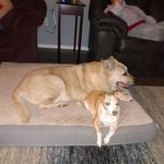 Kelly Morehead - @morehead1270 - Instagram