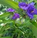 Kelly Morehead - Facebook