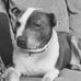 Kelly Munns - Facebook