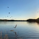 Kelly Netzel - @delphinaphotography - Instagram