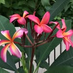 Kelly Nicely - @kwnicely - Instagram