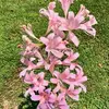 Kelly Ohler - @kelly.ohler0 - TikTok