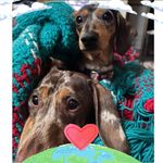 Kelly Orman - @kelly.3819 - Instagram