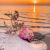 Erma Kelly - Facebook