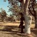 Kelly Pardue - Facebook
