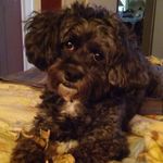 Kelly Paschal - @kelly.paschal.50 - Instagram