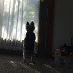 Kelly - @kellypatchett17 - Instagram