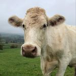 Kelly Patch - @kellypatch - Instagram