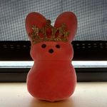 Kelly Patch - @kellypatch98 - Instagram