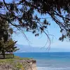 kellyprindle - @kellyprindle - TikTok