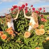 Kelly Prins - @kelly_prins - TikTok