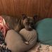 Kelli Probst - Facebook
