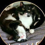 Kelly Knopp - @kelly.pullen.33 - Instagram