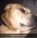 Kelly Pullen - Facebook
