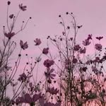 Kelly Pullen - @kellz_1648 - Instagram