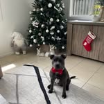 Kelly Rawson - @kellyarawson - Instagram