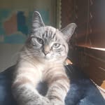 Kelly Rawson - @kjrawson76 - Instagram