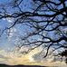 Kellie Rea - Facebook