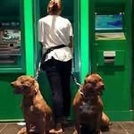 Reece Kelly - @kellyreece177 - Instagram