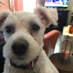 Kelly Reitz - @kelly.reitz.7 - Instagram