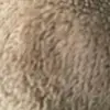 Kelly Reitz Wyatt - @user9736587202919 - TikTok