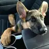 Kelly M Rickman - @kelly.m.rickman - TikTok