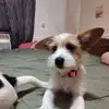 Kelly Rivers - @kelly.rivers74 - TikTok