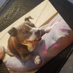 Kelly Roach - @kelly.roach.507 - Instagram
