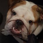 Kelly Sammon - @pinkellbh1 - Instagram
