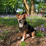 Kelly Scanlan - @mrs_salad - Instagram