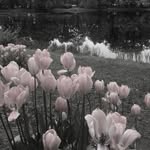 Kelly schmit - @schmit8466 - Instagram