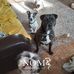 Kelly Shackleton - Facebook