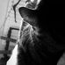 Kelly Shackleton - Facebook