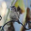 Kelly Shrader - @kelly.shrader - TikTok