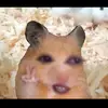 Kelly Shultz - @kellyshultz4766 - TikTok