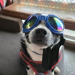 Kelly Shultz - @kelly68shultz - Instagram