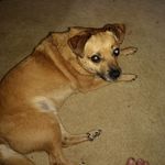 Kelly shultz - @shultz.kelly - Instagram