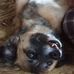 Kelly Simms - Facebook