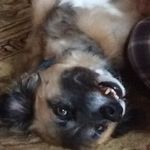 Kelly Simms - @kelly.simms.353 - Instagram
