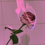 kelly - @_kelly_singh_ - Instagram