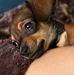 Kelly Slaymaker - Facebook