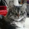 kellyslaymaker - @kellyslaymaker - TikTok