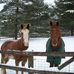 Kelly Soukup - Facebook
