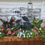 Kelly Sternhagen - @sternhagen.kelly - Instagram